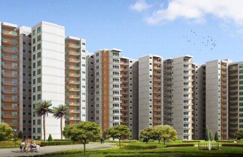MRG World Sector 84 Gurgaon