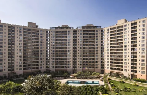 Central Park Resorts Bellevue