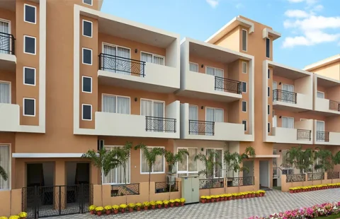 Central Park Flower Valley Flamingo Floors